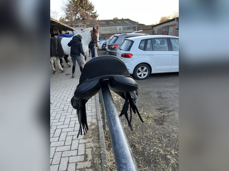 Wintec Springsattel - fast neu, nur 10x benutzt