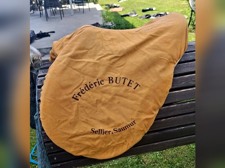 Wunderschöner Butet Samur Sellier Springsattel zu Verkaufen
