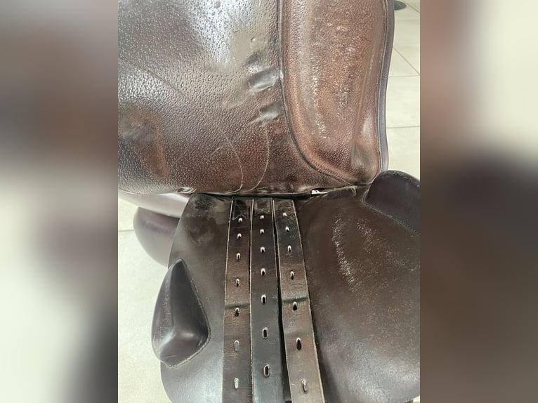 Wunderschöner, gepflegter Sattel mit weichem Kalbsleder und bequemer Sitzfläche. Regelmäßig gepflegt