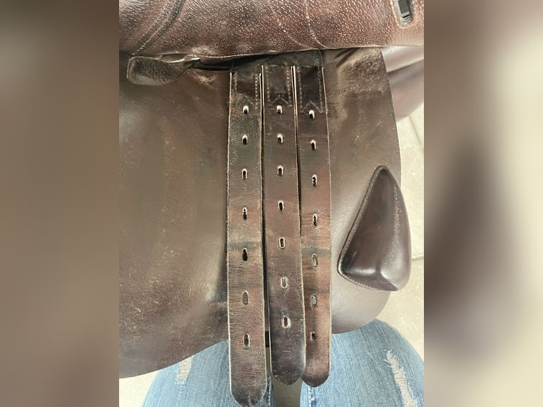 Wunderschöner, gepflegter Sattel mit weichem Kalbsleder und bequemer Sitzfläche. Regelmäßig gepflegt