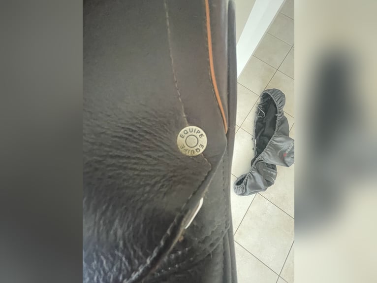 Wunderschöner, gepflegter Sattel mit weichem Kalbsleder und bequemer Sitzfläche. Regelmäßig gepflegt