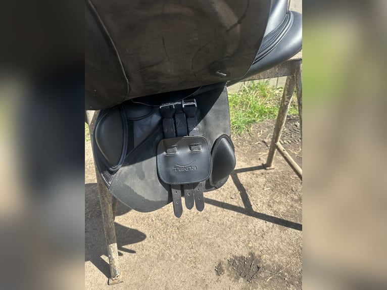 Zu Verkaufen steht ein Neuwertiger springsattel der Marke Tekna