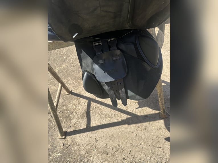 Zu Verkaufen steht ein Neuwertiger springsattel der Marke Tekna