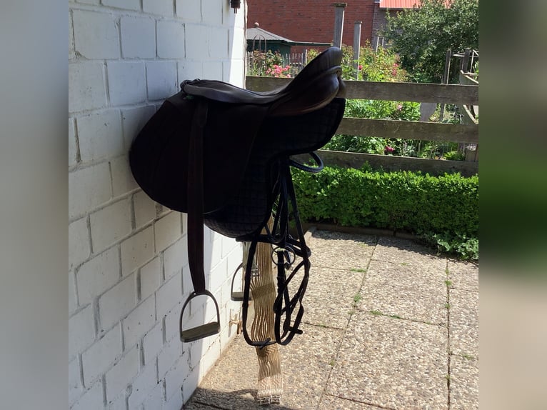 Top Sattel für Haffi/Kaltblut kpl. und Trense