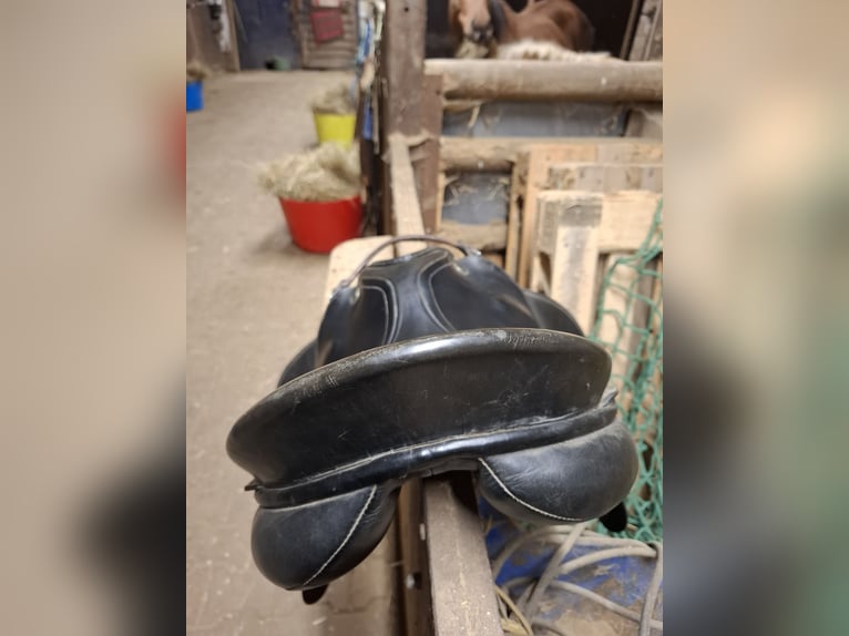 17" Vielseitigkeits Sattel 