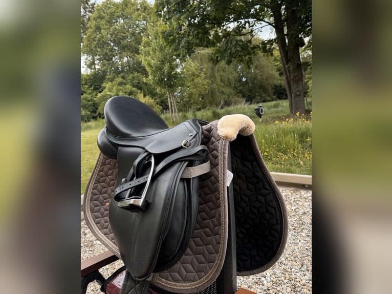 17,5“ Vielseitigkeitssattel | Wechselpauschen | Dressur & Springen