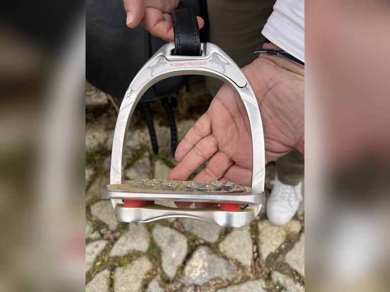 2 Peter Horobin Sättel