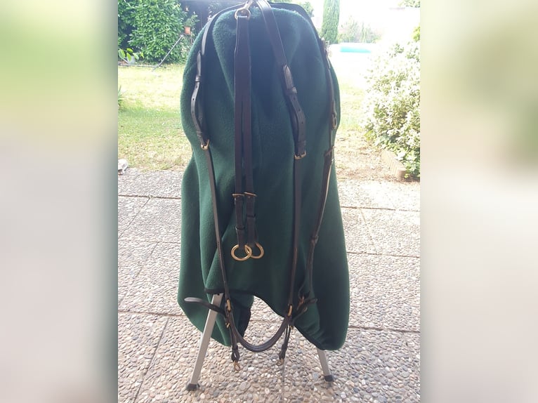 3S-Vielseitigkeitssattel mit Schwerpunkt Springen
