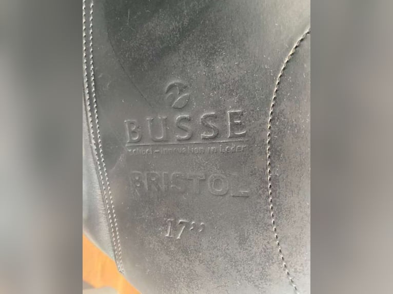 Busse Bristol