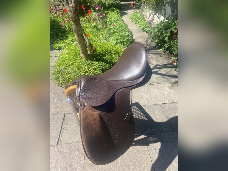 Damen Vielseitigkeitsattel