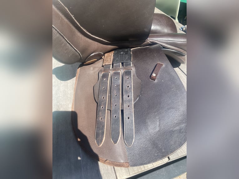 Damen Vielseitigkeitsattel