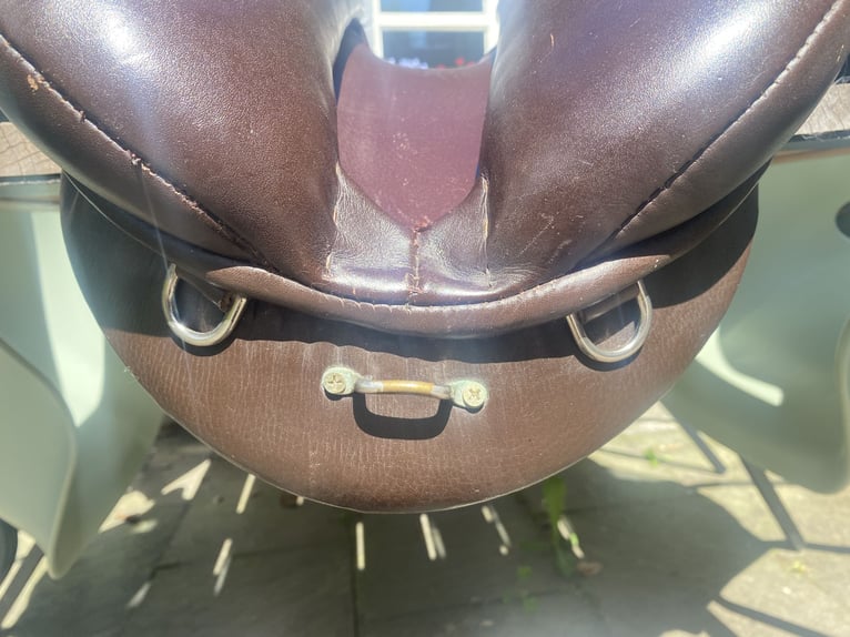 Damen Vielseitigkeitsattel von Jorge Canvas, Modell onyx