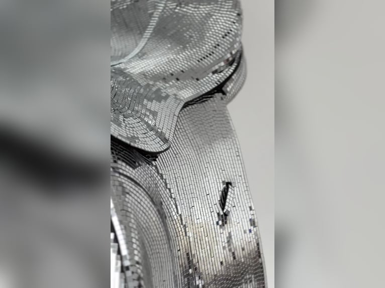 Disco Sattel - Reit Dekor - Discokugel