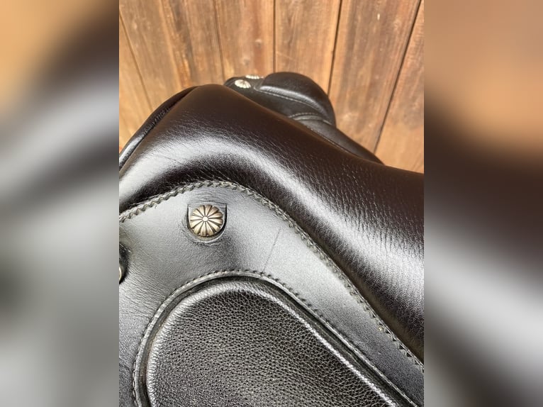 El Campo Deuber & Partner Working-Equestrian-Sattel