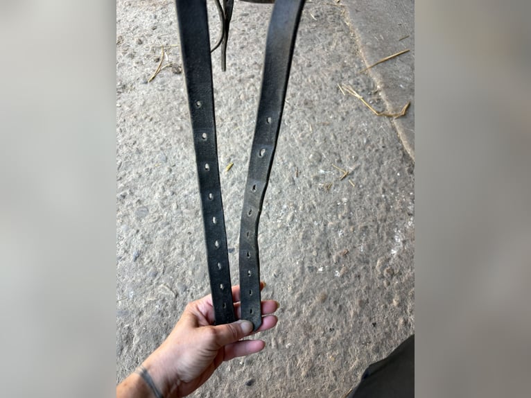 Euroriding Diamant VSD Sattel, 17 Zoll (roter Knopf)