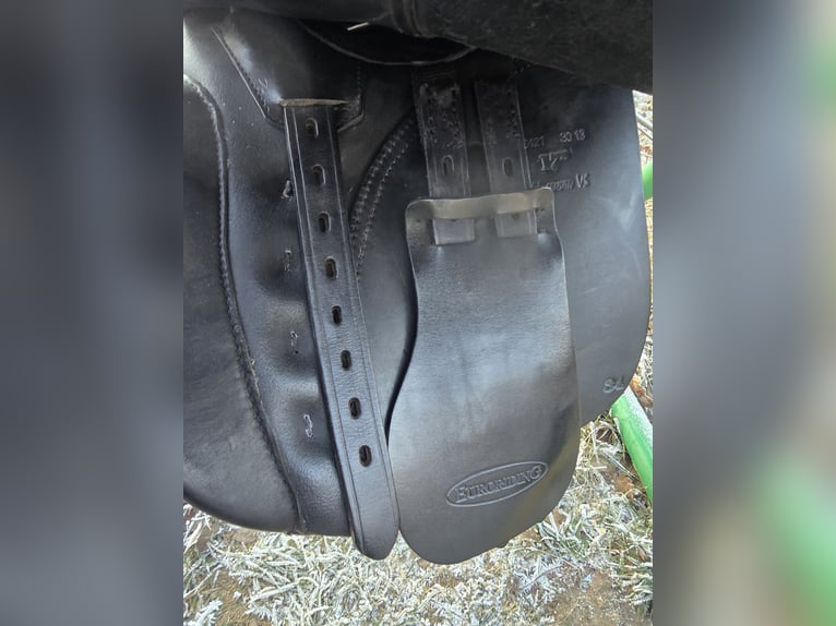 Euroriding sensitiv Opal VS Vielseitigkeit Sattel Springsattel 17 34