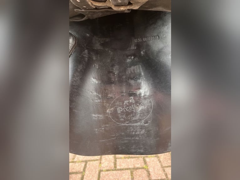 Euroriding Vielseitigkeitssattel 