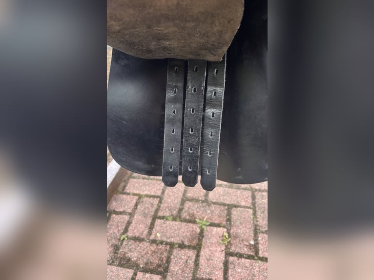 Euroriding Vielseitigkeitssattel 