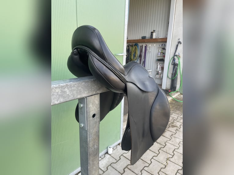 Euroriding Vielseitigkeitssattel - Schwerpunkt Springen, schwarz