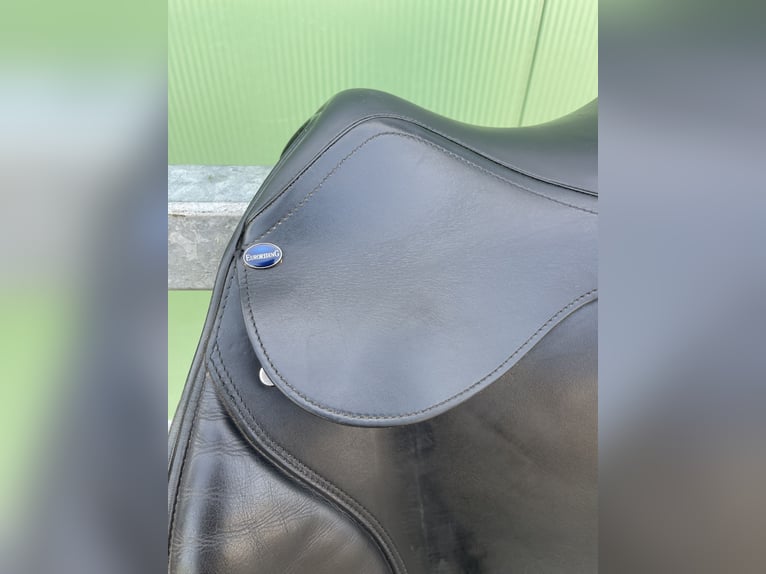 Euroriding Vielseitigkeitssattel - Schwerpunkt Springen, schwarz