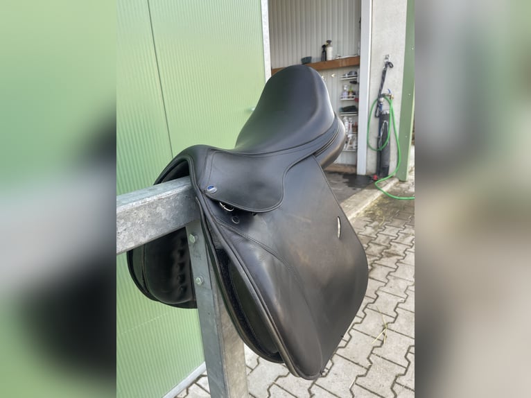 Euroriding Vielseitigkeitssattel - Schwerpunkt Springen, schwarz