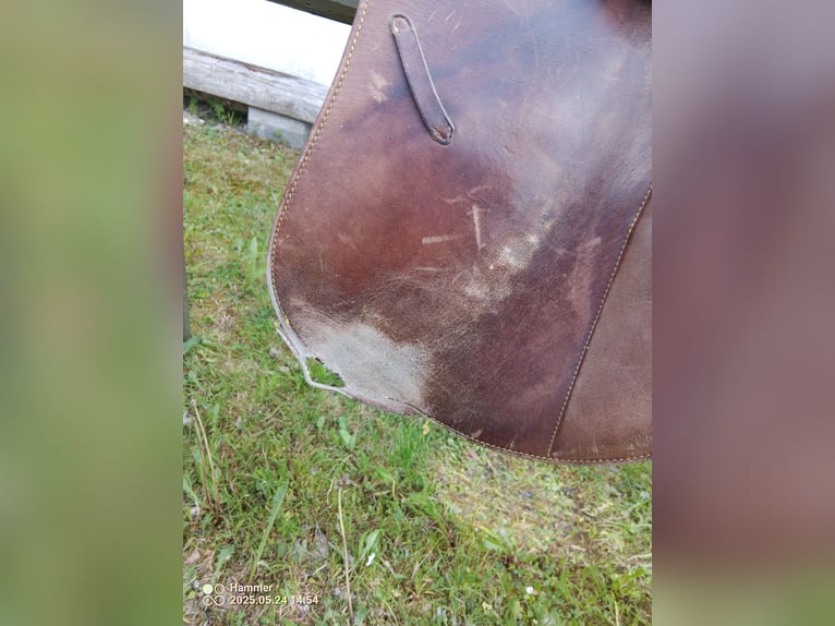 Gebrauchter Sattel aus Argentinien - 18", Leder - 100 €