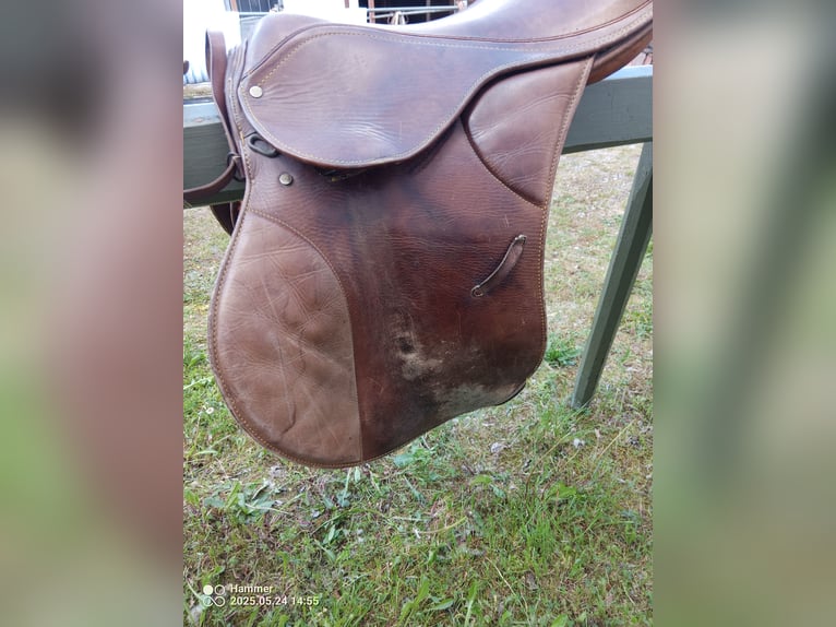 Gebrauchter Sattel aus Argentinien - 18", Leder - 100 €
