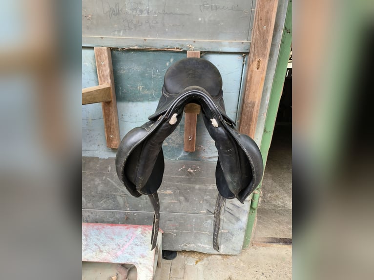 Isländer-Sattel von Stübben, 16.5 Zoll