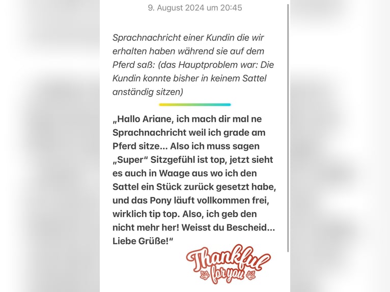 ❤️ Island & Freizeitsättel von Jeremy Rudge – Probeversand –  Für breite kurze Pferde