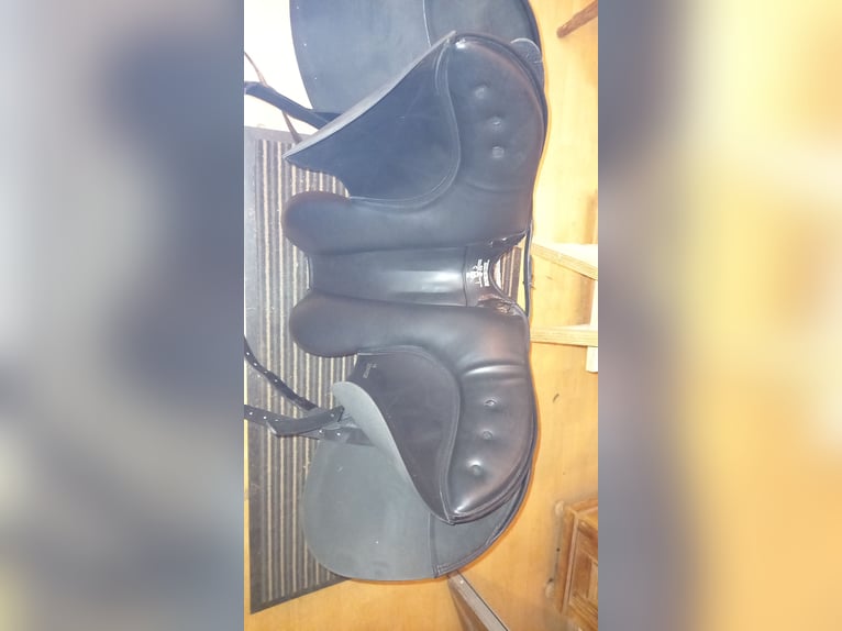 Kaltblutsattel von Tekna