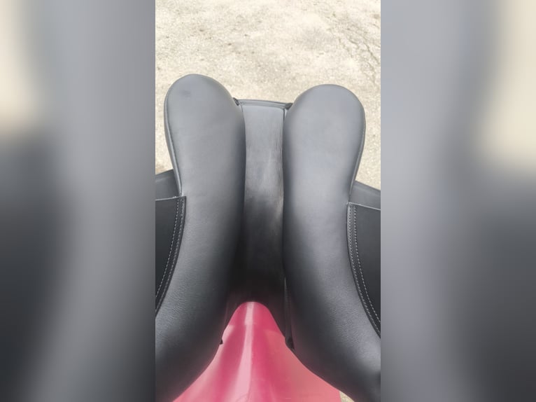 Kentaur Antigona Vielseitigkeitssattel – 17 Zoll, KW 3, Webflexbaum, Schwarz
