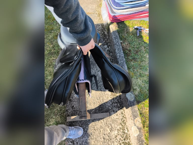 Kentaur Danae 17 Zoll