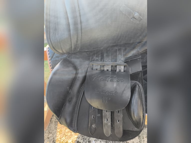 Kentaur Danae 17 Zoll