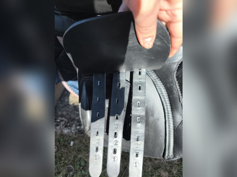 Kentaur Danae 17 Zoll