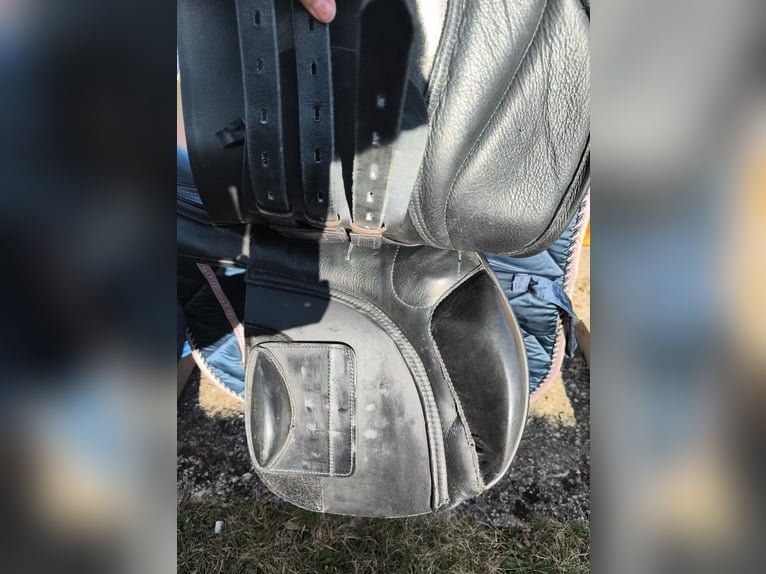 Kentaur Danae 17 Zoll