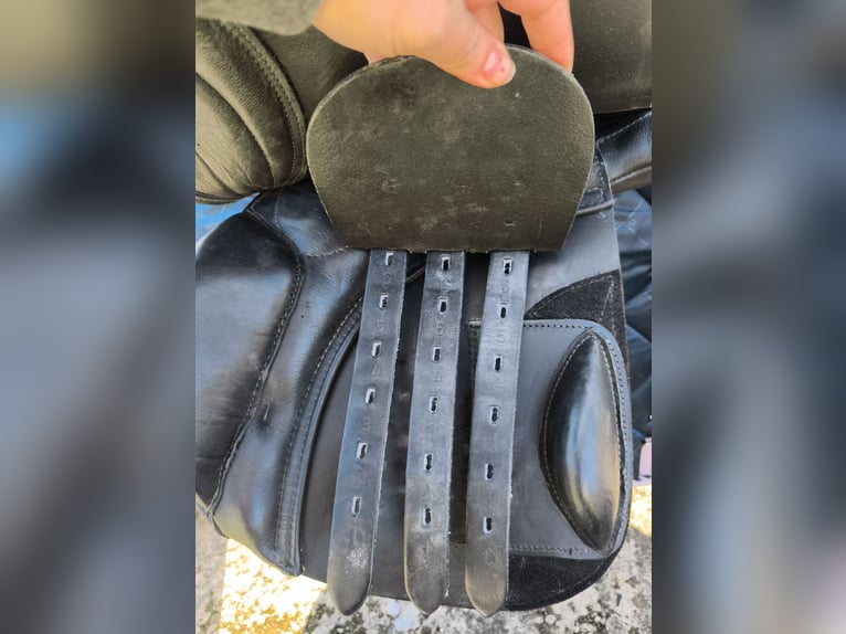 Kentaur Danae 17 Zoll