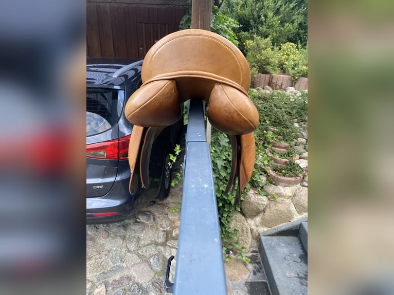 Kentaur Kassiopeia Vielseitigkeitssattel 17 1/2 Zoll cognac mit Steigbügelriemen