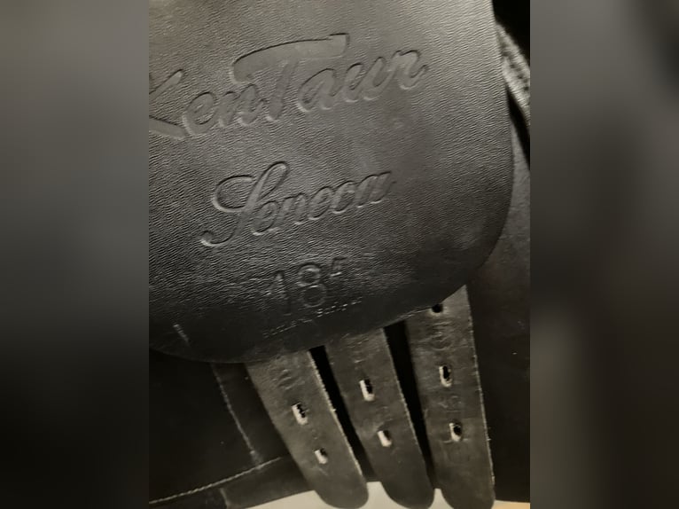 Kentaur Seneca Vielseitigkeitssattel schwarz 18 Zoll KW 4