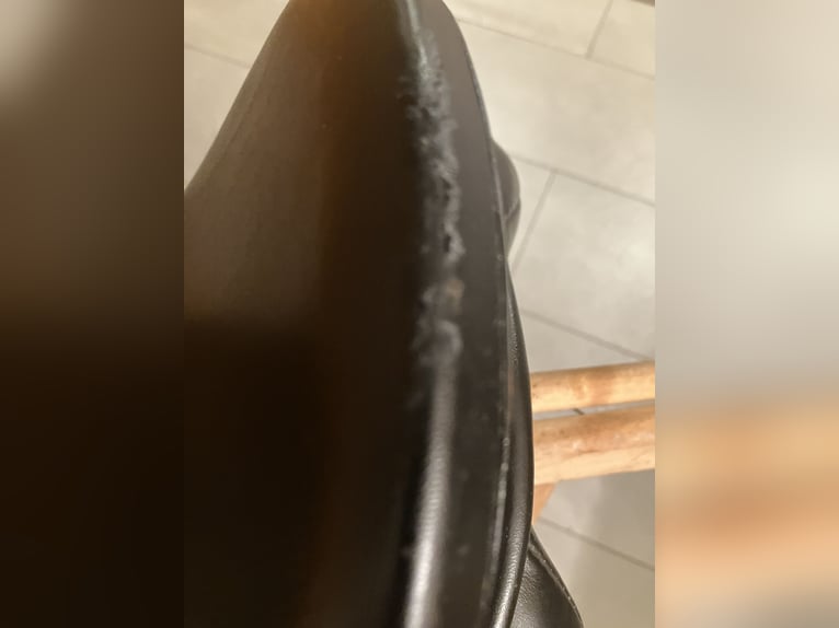 Kentaur Seneca Vielseitigkeitssattel schwarz 18 Zoll KW 4