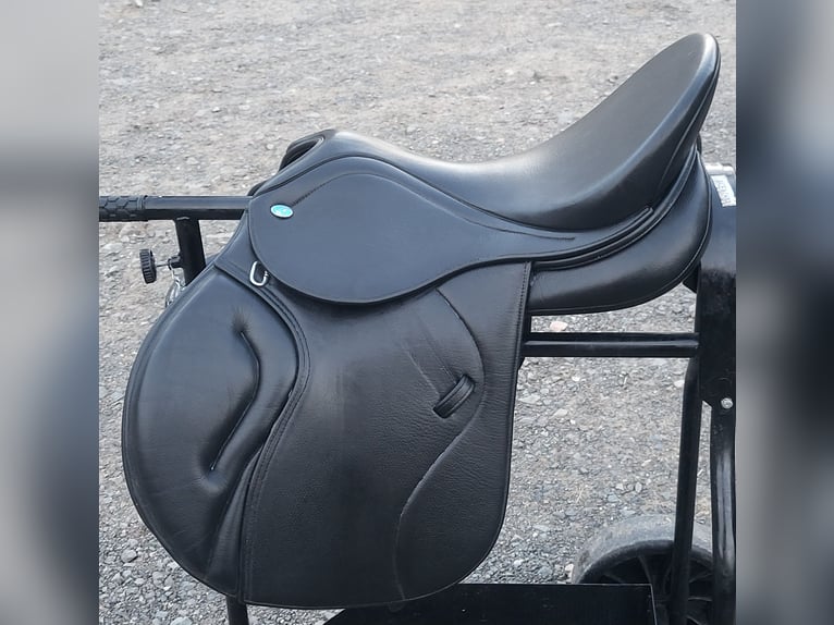 Kieffer Essentials Eventer Sattel in sehr gutem Zustand zu verkaufen