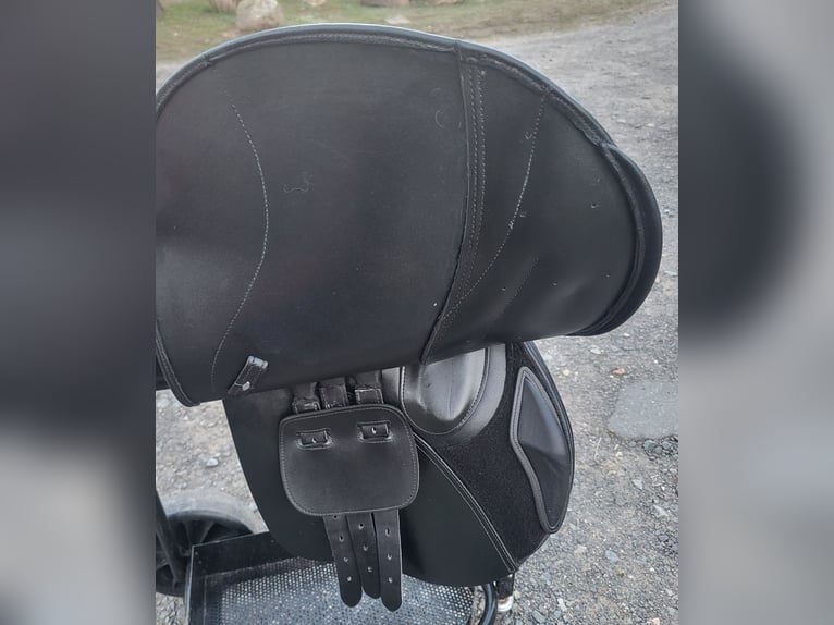 Kieffer Essentials Eventer Sattel in sehr gutem Zustand zu verkaufen