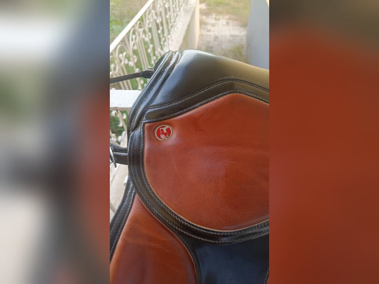 Kieffer Frankfurt Vielseitigkeitssattel - neuwertig, erstklassiger Zustand - Warmblut passend