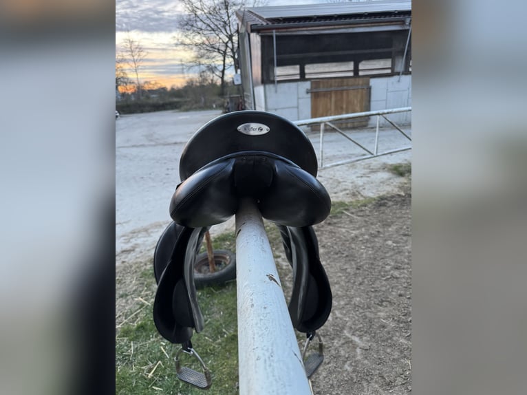 Kieffer Garmisch AT VS Sattel 17 Zoll