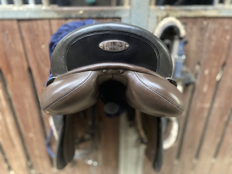 Kieffer Vielseitigkeit