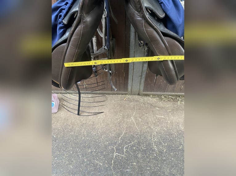 Kieffer Vielseitigkeit