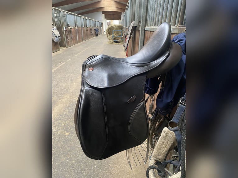 Kieffer Vielseitigkeit