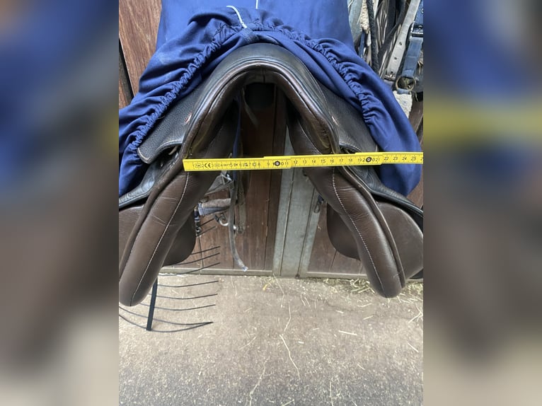 Kieffer Vielseitigkeit