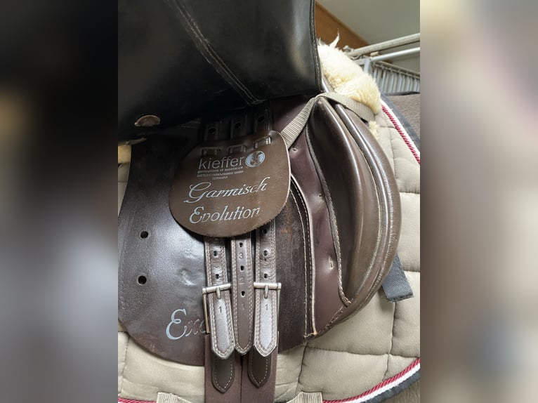 Kieffer Vielseitigkeit