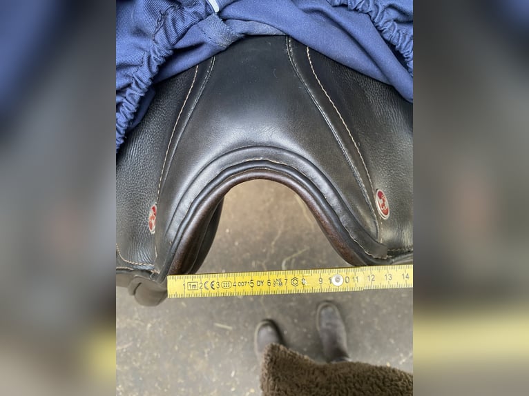 Kieffer Vielseitigkeit