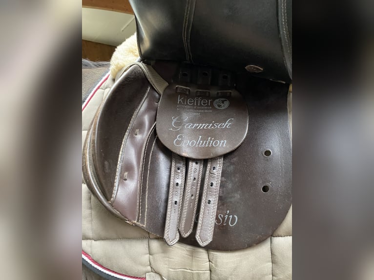 Kieffer Vielseitigkeit